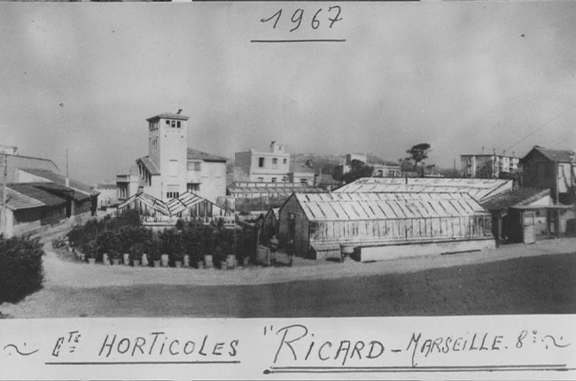 Jardinerie Ricard Marseille